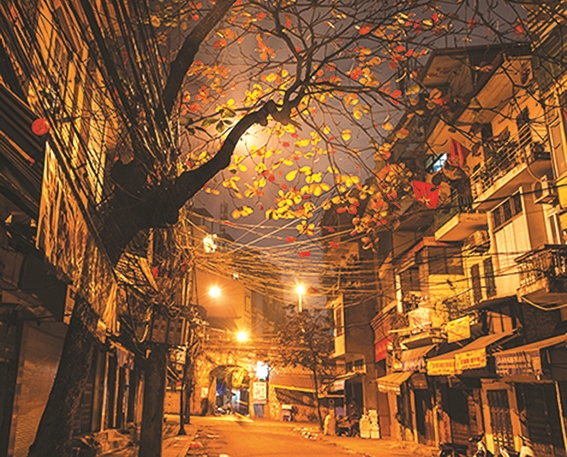 Hà Nội thành phố tôi yêu
